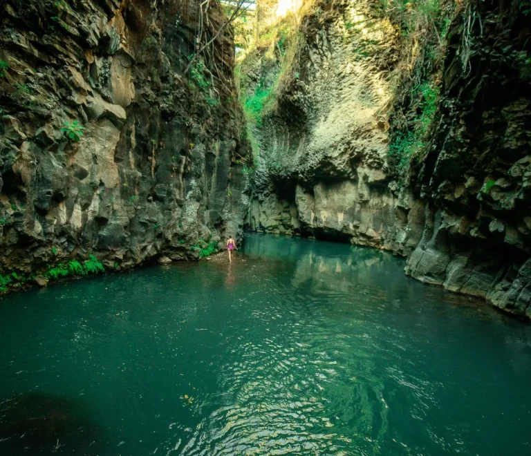 Cañon las Gargantas
