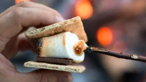 FOGATA CON S'MORES